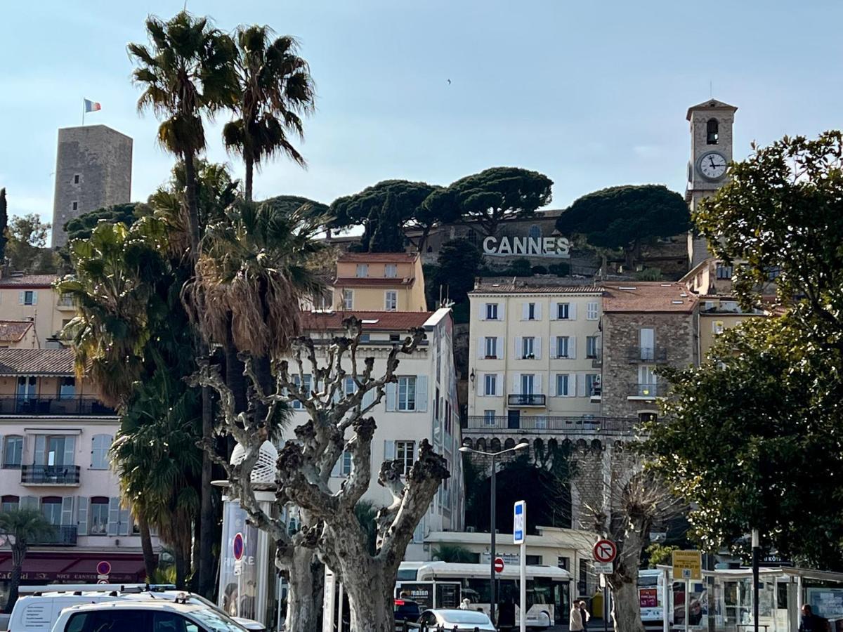 Speciale Festival Film Si Sejour Superieur 12j , 2p Croisette, Grande Terrasse, Parking Gratuit, Calme, Accueil 5 Etoiles, Excellent Rapport Qualite-prix *